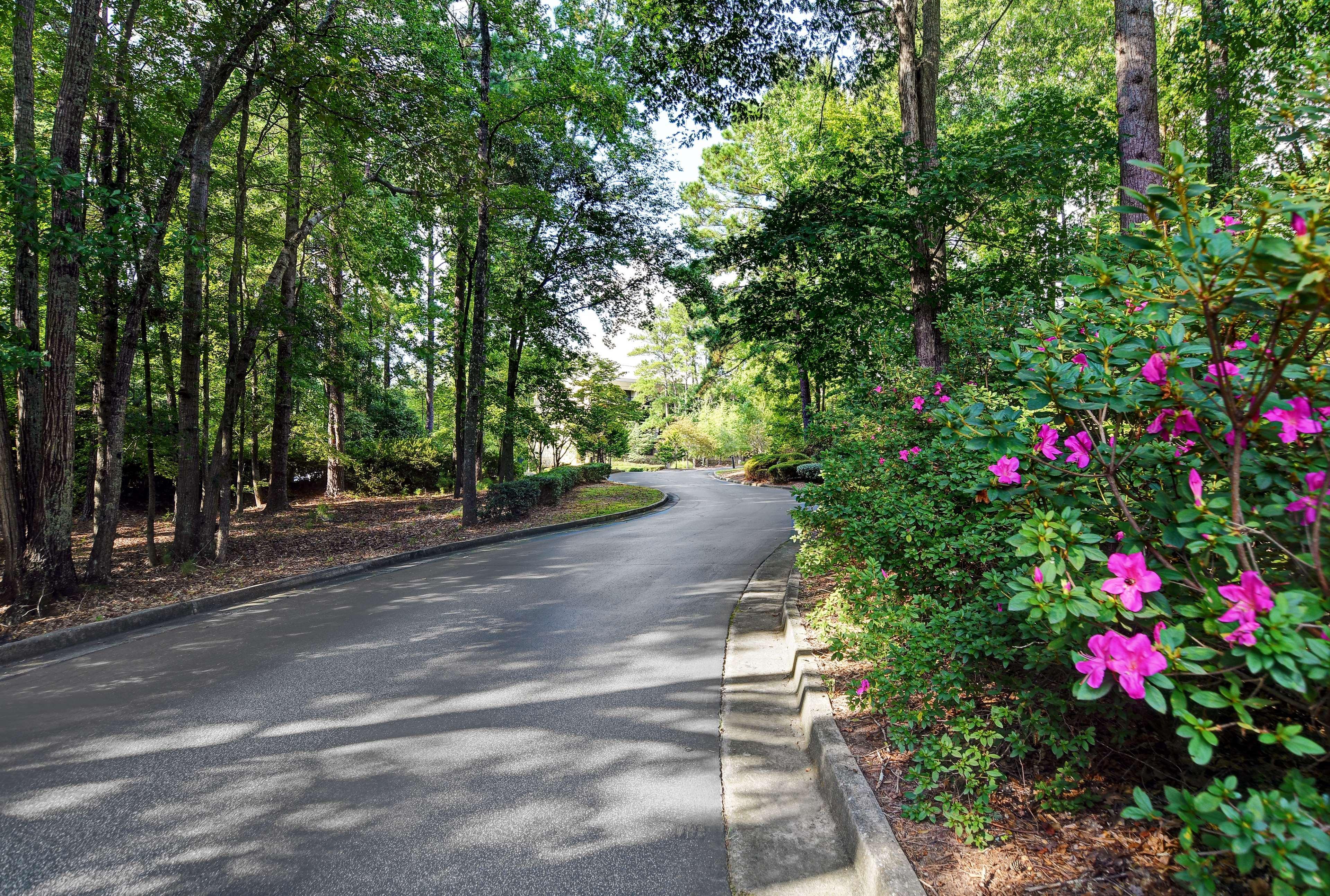 Hilton Peachtree City Atlanta Hotel & Conference Center מראה חיצוני תמונה